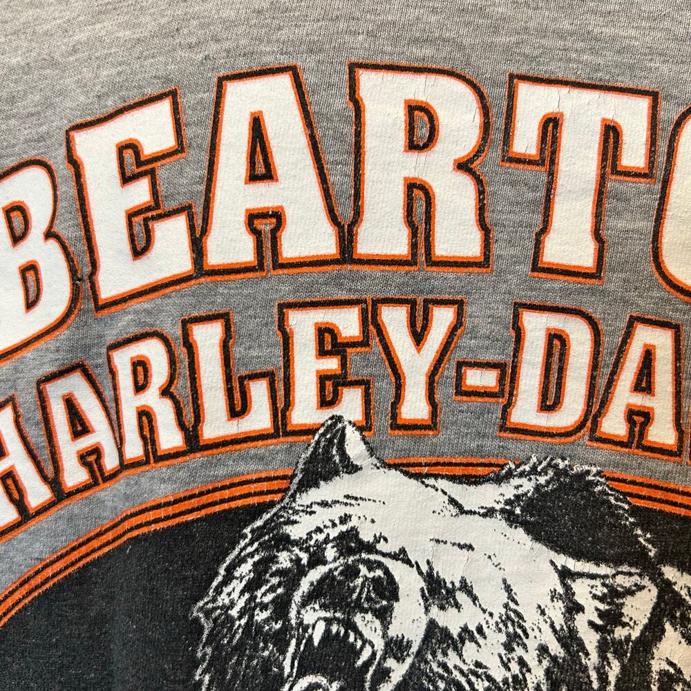 Harley-Davidson Y2K Beartooth Montana Flame Long Sleeve Tee Cowboy Core S - Picture 14 of 16